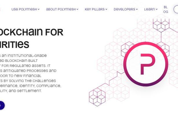 Polymesh Price Predication 2024-2034