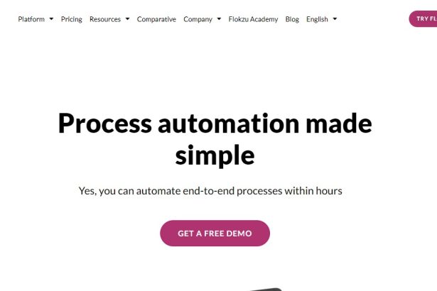 Flokzu Ai Review : How To Use & Free Guide