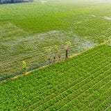 10 Best Agriculture Stocks for 2024