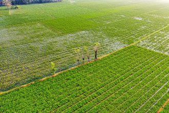 10 Best Agriculture Stocks for 2024
