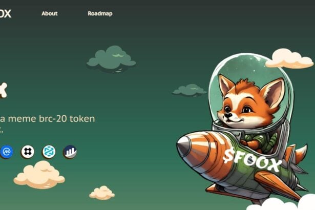 Foox Price Prediction 2024-2040