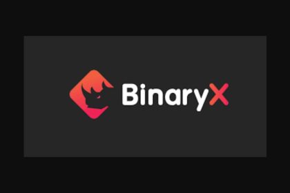 20 Best BinaryX Crypto Wallets In 2024