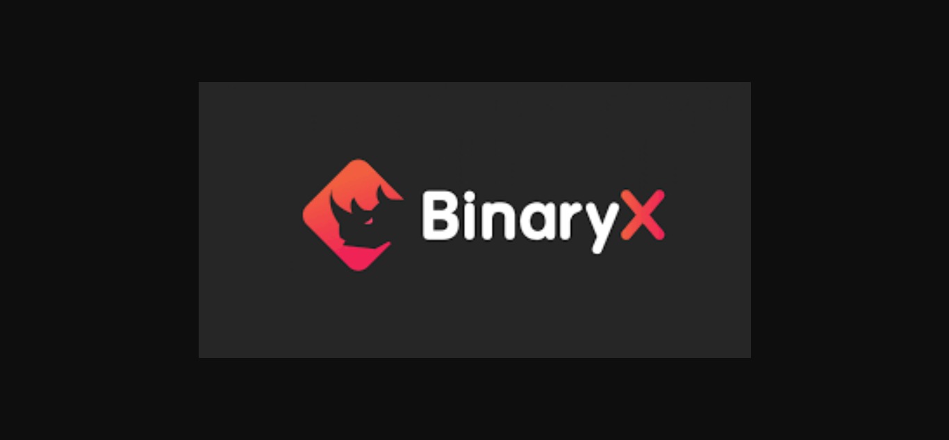 20 Best BinaryX Crypto Wallets In 2024