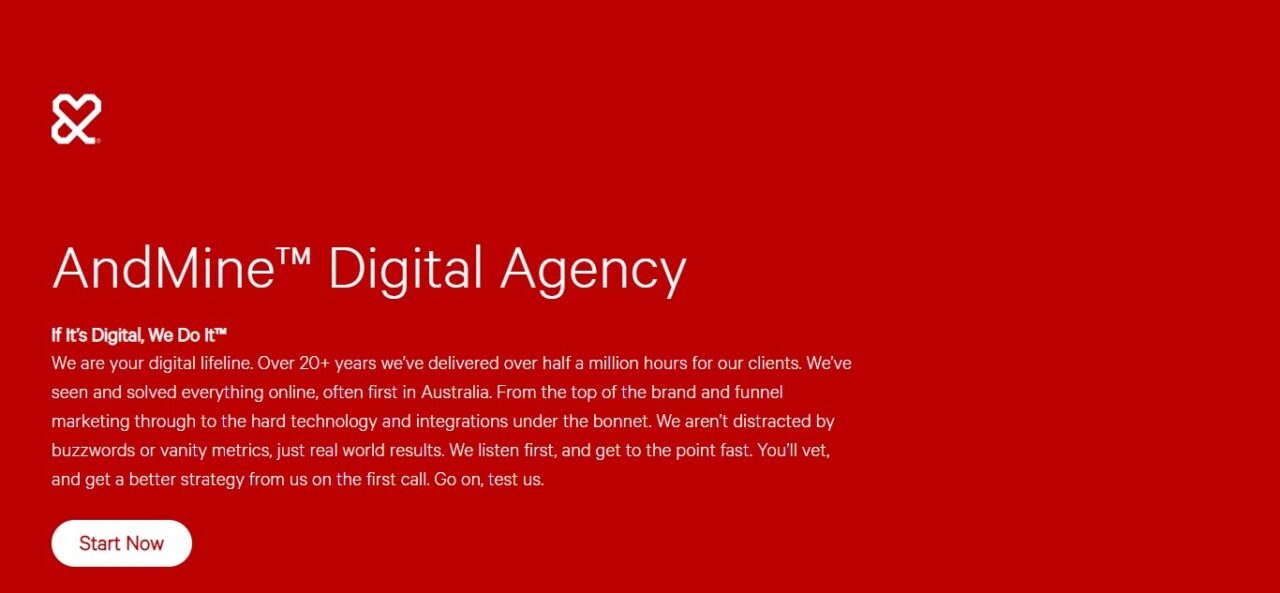 20. AndMine (Best Web Development Company In Australia)
