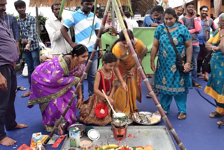 10. Pongal (Best Festival In India)