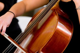what is the musical part of a turkey?
