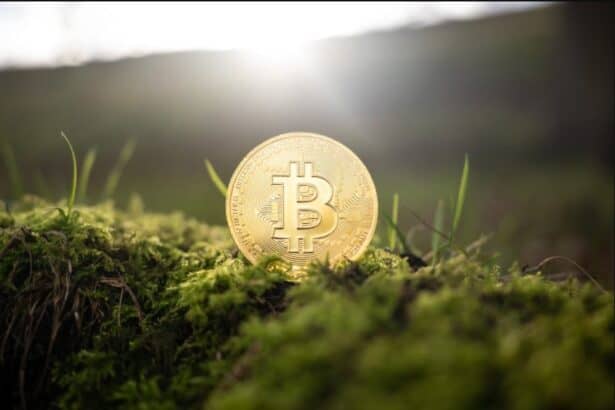 Best Crypto To Buy Now: We Picked Top Crypto 2024