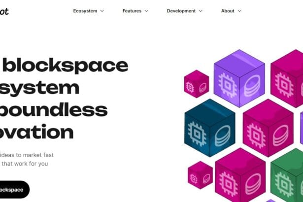 Decoding Polkadot: Unraveling the Next-Generation Blockchain Ecosystem