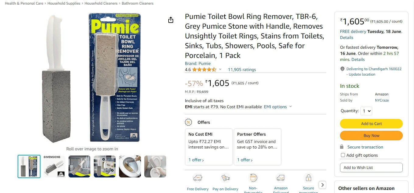 Pumie Toilet Bowl Ring Remover