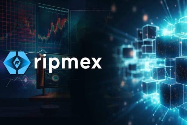 Ripmex Debuts RPX Tokens PreSale: Commission-Free Trading for a New Financial Era