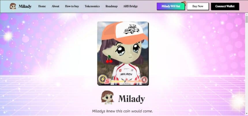 What Is Milady Meme Coin? Everything You Need To Know