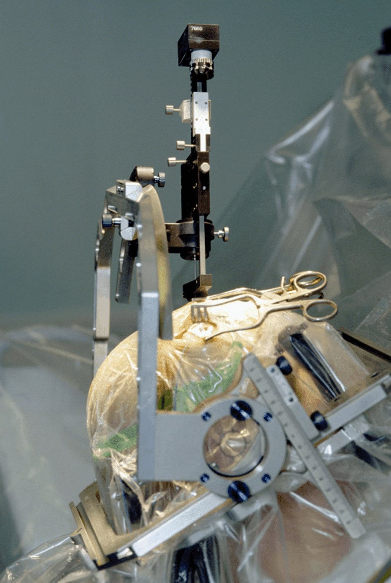 image 2024 08 19 181321092