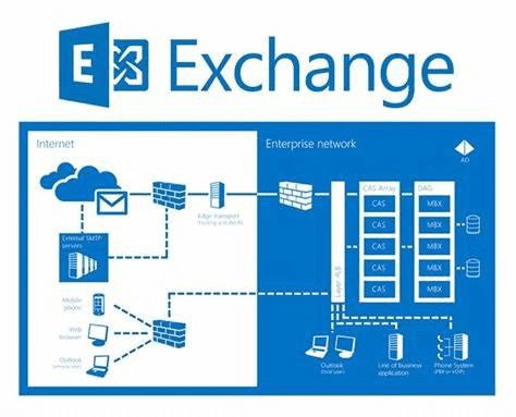 Bitribe Best CoinW Exchange Alternatives