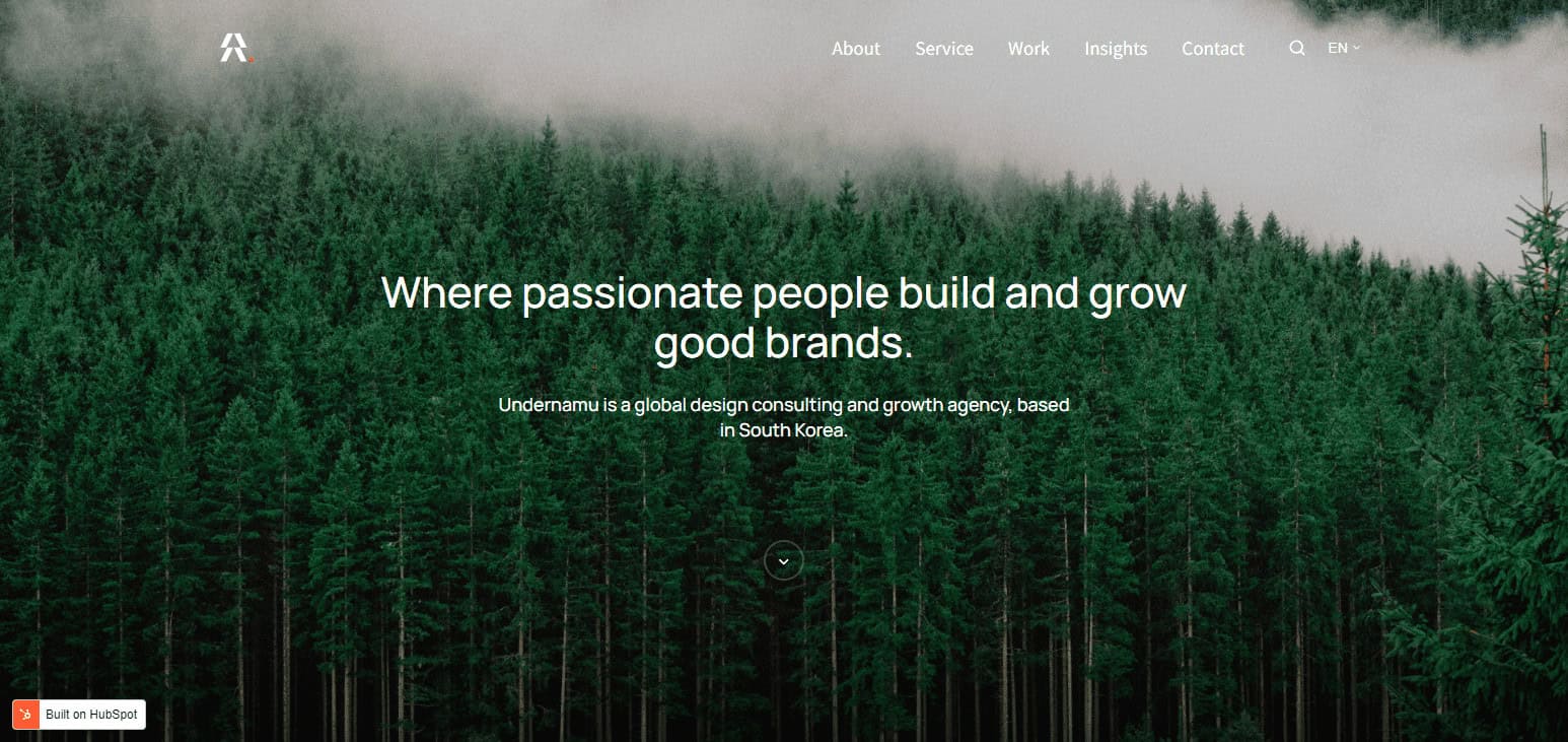 Undernamu Corp Best Seo Agency In South Korea 