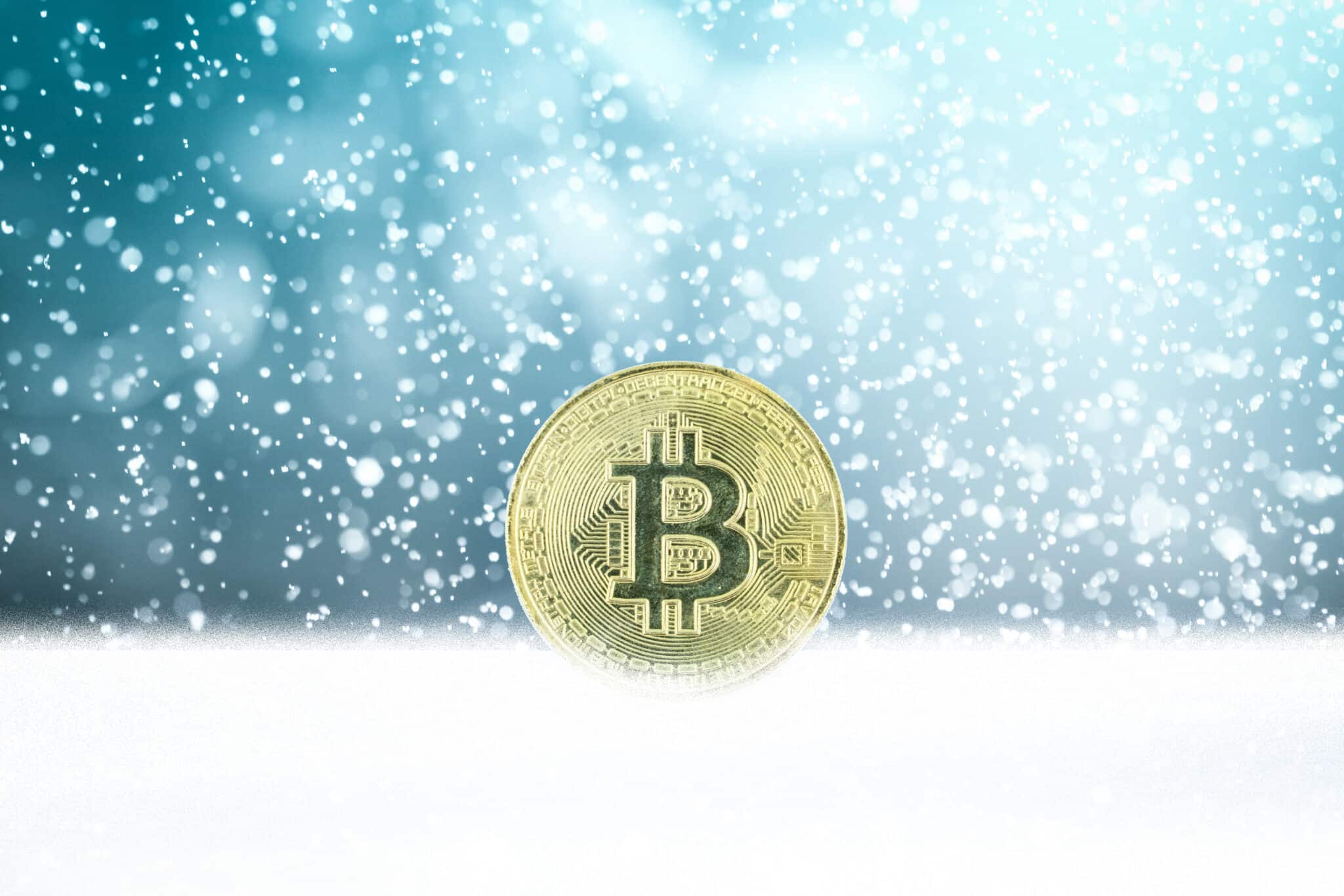 20 Best Crypto Winter Tokens To Buy In 2024