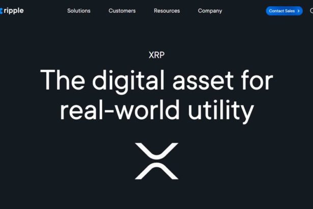 20 Best Ripple Wallets In USA: Ripple Wallet Guide