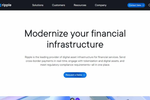 20 Best Ripple Coin Alternatives: Ripple Competitors 2024