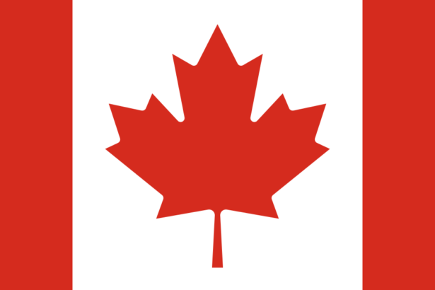 10 Best Canadian Transportation Agency: Reliable Services