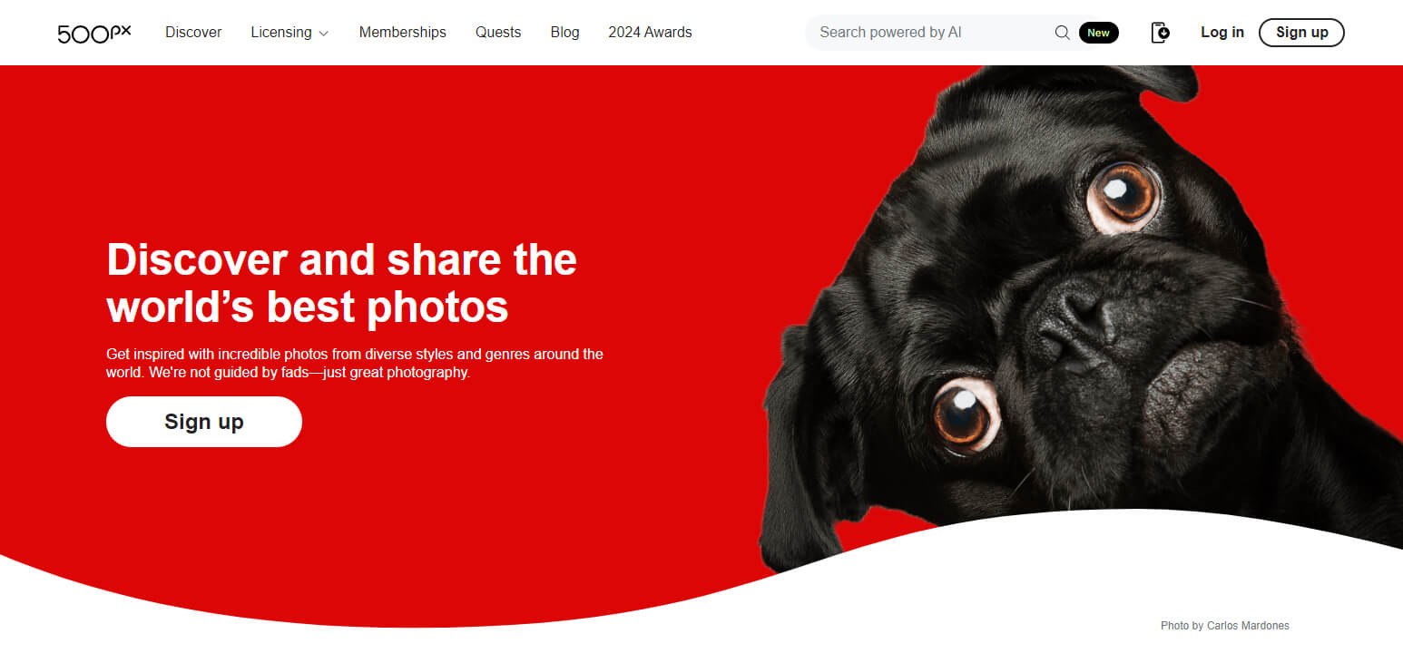 500px Best Apps For Photo Storage