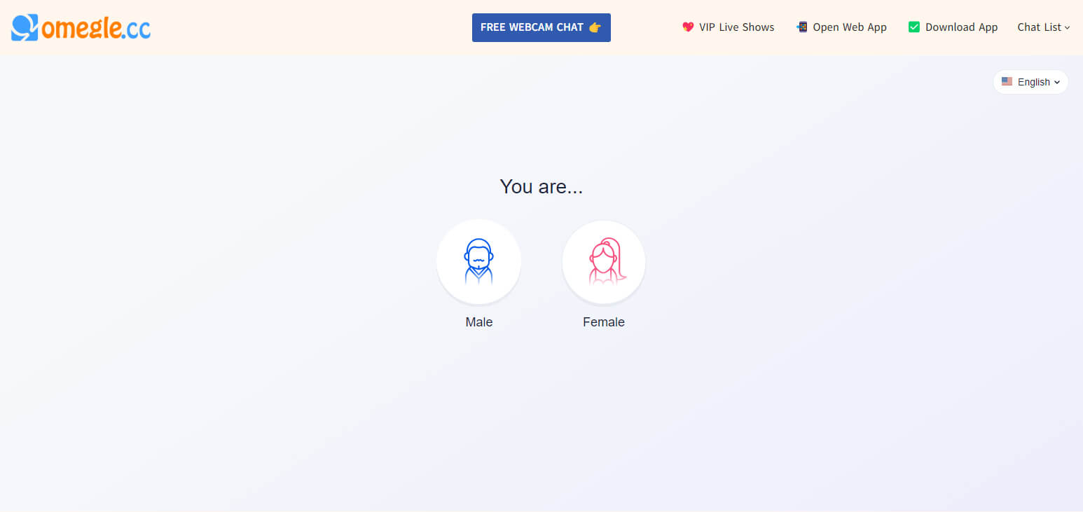 10 Best Omegle Alternatives For 2025: Chat and Connect Freely