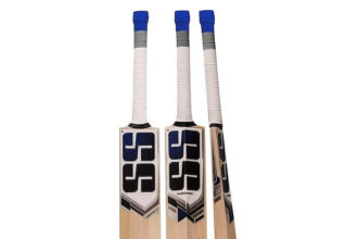 10 Best Cricket Bats For 2025: Top Picks for Power and Performance
