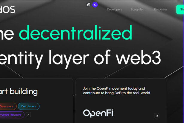 How To Launch a Multi-Chain IDO: A Step-by-Step Guide
