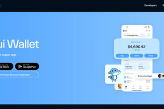 9 Best Sui Wallets In 2025: Top Picks for Security & Convenience