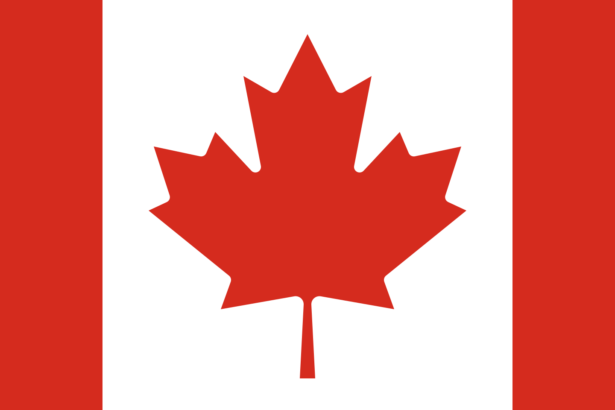 10 Best Crypto Wallets In Canada: Secure and Reliable Options