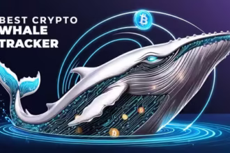 9 Best Crypto Whale Tracker | Track Large Crypto Transactions in Real-Time