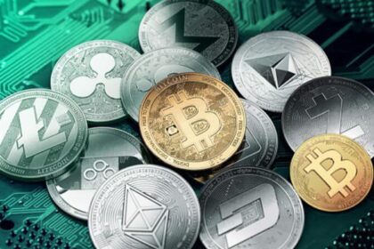 9 Best Software Wallets For Altcoins In 2026 | Secure & Easy To Use