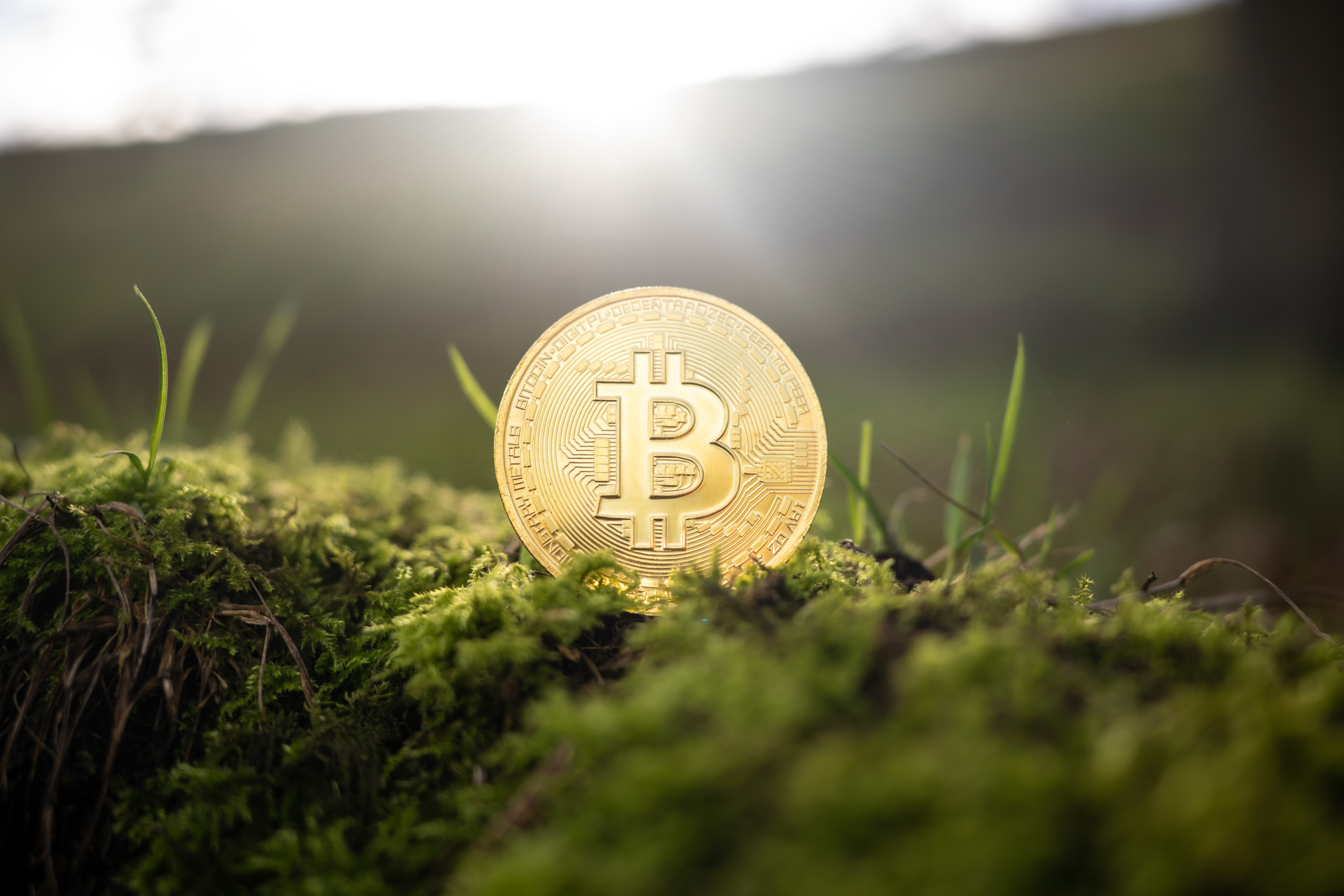 Failure to include trading fees
