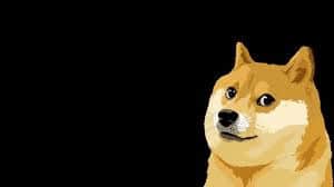 What Comes Next For DOGE Coin? Investment Pricing Predictions