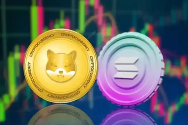 Meme Coin Whales Invest $16M in PEPE & WIF – What's Next?