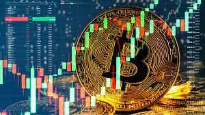 About All Crypto Market