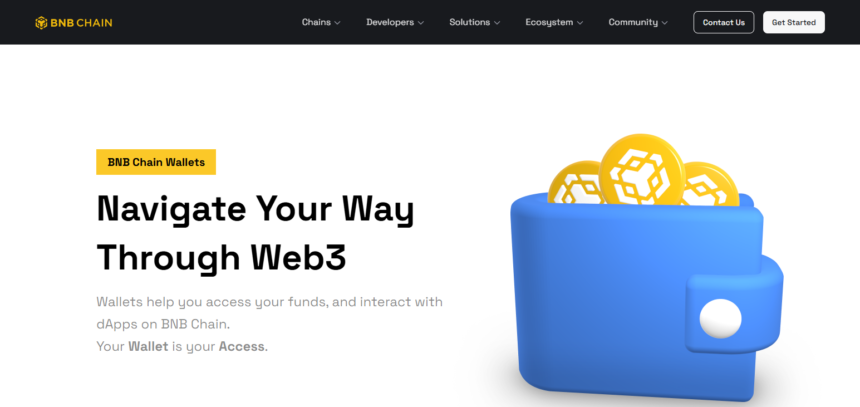 How To Set Up a Binance Chain Wallet: Step-by-Step Guide