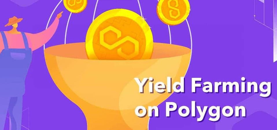 Why Choose Polygon for liquidity farming?