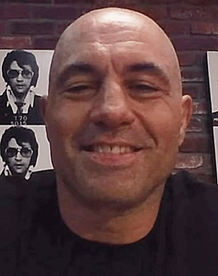 All About Joe Rogan