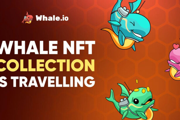Whale.io to Bridge NFT Collection from TON Blockchain to Solana