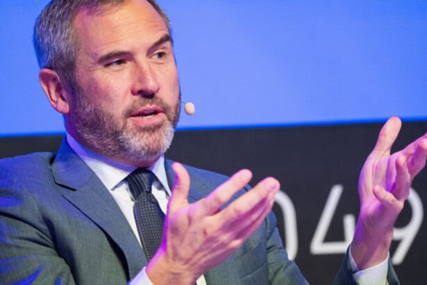 Ripple CEO Reveals Shocking New Numbers You Didn’t Expect