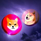 Shibu Inu