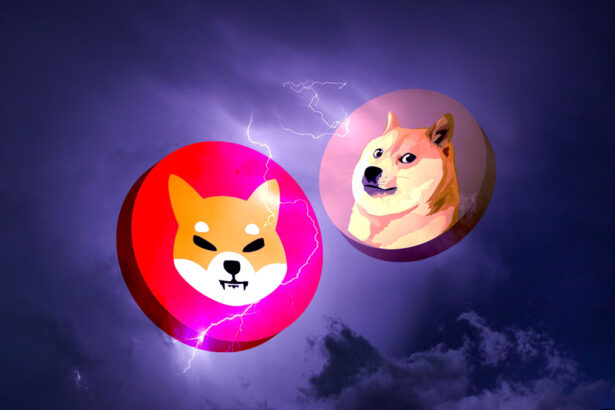 Shiba Inu's Trillionaire Wallets Decline as Investor Confidence Wanes