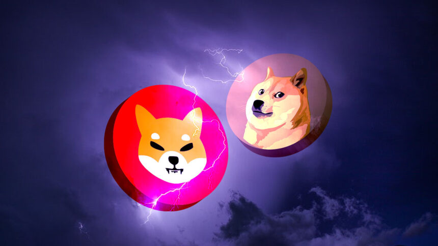 Shibu Inu