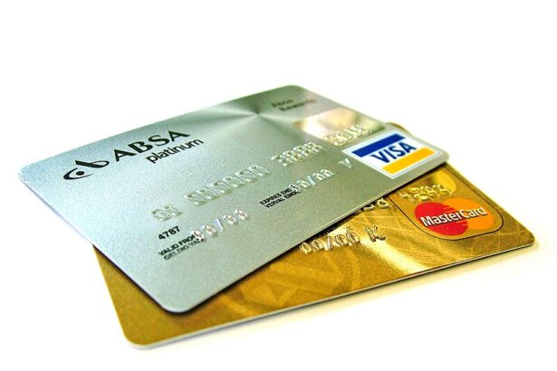 10 Best Credit Cards for Pet-Related Expenses In 2026