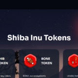 10 Best Ways To Stake Shiba Inu in 2025 | Top Methods & Platforms