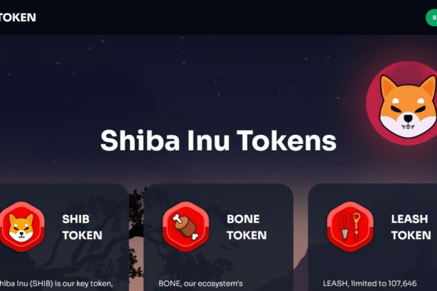 10 Best Ways To Stake Shiba Inu in 2026 | Top Methods & Platforms