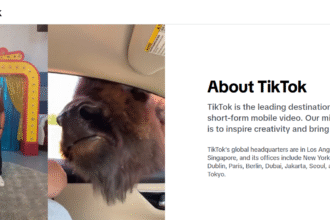 10 Top Methods To Gain TikTok Followers: Boost Your Audience