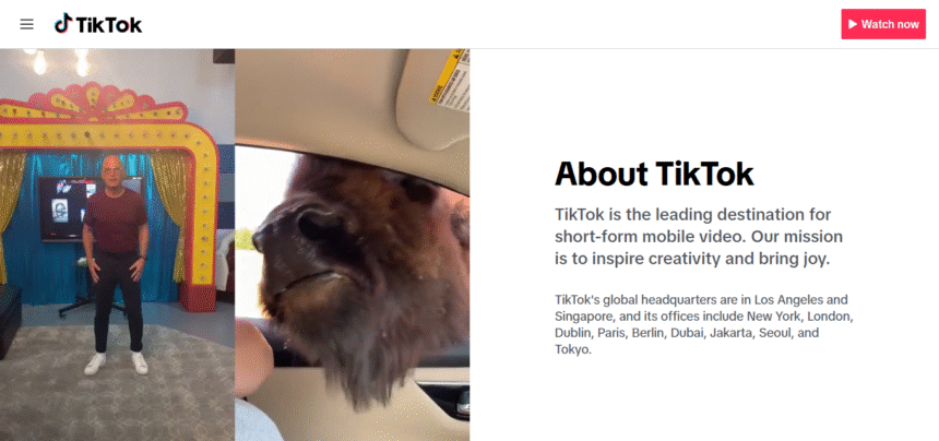 10 Top Methods To Gain TikTok Followers: Boost Your Audience
