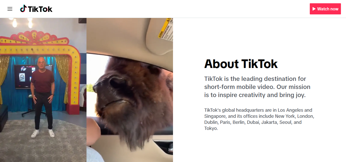 10 Top Methods To Gain TikTok Followers: Boost Your Audience