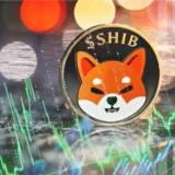shibu