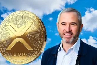 RIPPLE CEO